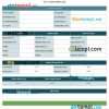 Company paystub Word and PDF example, version 2