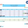 Pay summary report pay stub Word and PDF example