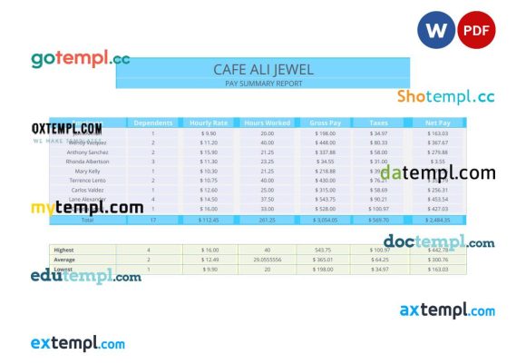 Pay summary report pay stub Word and PDF example