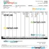 Paycor paystub Word and PDF example