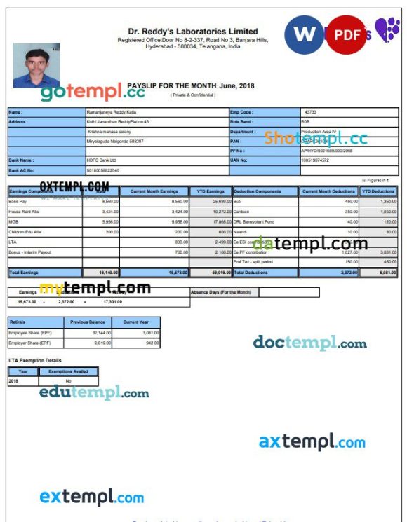 laboratory payslip Word and PDF example