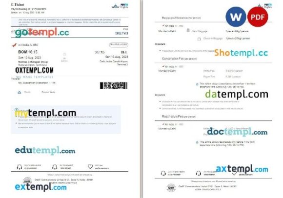Paytm Flights Air India airplane e-ticket, Word and PDF download template, 3 pages