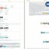 Pegasus Airlines airplane e-ticket, Word and PDF download template, 2 pages