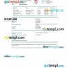 Pegasus Airlines airplane return e-ticket, Word and PDF download template