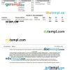 Peopleready Paystub Word and PDF example