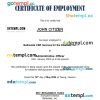 Philippines Bethsaida CBR Services for the Disabled, Inc. certificate of employment Word and PDF download template
