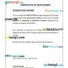 Philippines Davsam Link Corporation certificate of employment Word and PDF download template