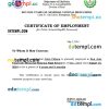 Philippines Don Jose Ynares Sr. Memorial National High School certificate of employment Word and PDF download template