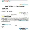 Philippines Grey Focus Proprietor certificate of employment Word and PDF download template