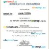 Philippines J-L Tripoint Construction Services certificate of employment Word and PDF download template