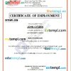 Philippines No Filter Beauty Lounge certificate of employment Word and PDF download template