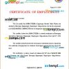 Philippines Office of the Barangay Chairman certificate of employment Word and PDF download template