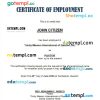 Philippines Trinity Mission International of Quezon, Inc. certificate of employment Word and PDF download template