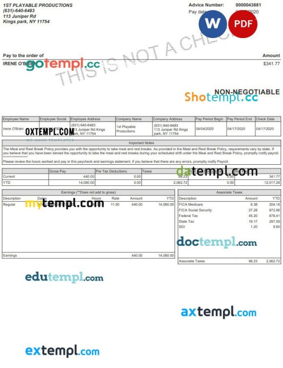 Playable Productions Paystub Word and PDF example