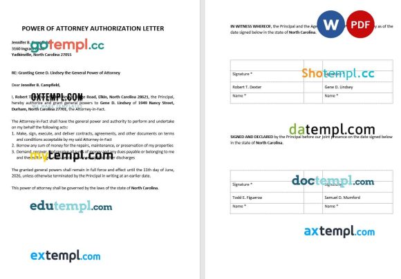 Power of Attorney Authorization Letter example, fully editable