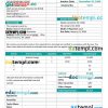 Professional Agency Invoice example in word and pdf format