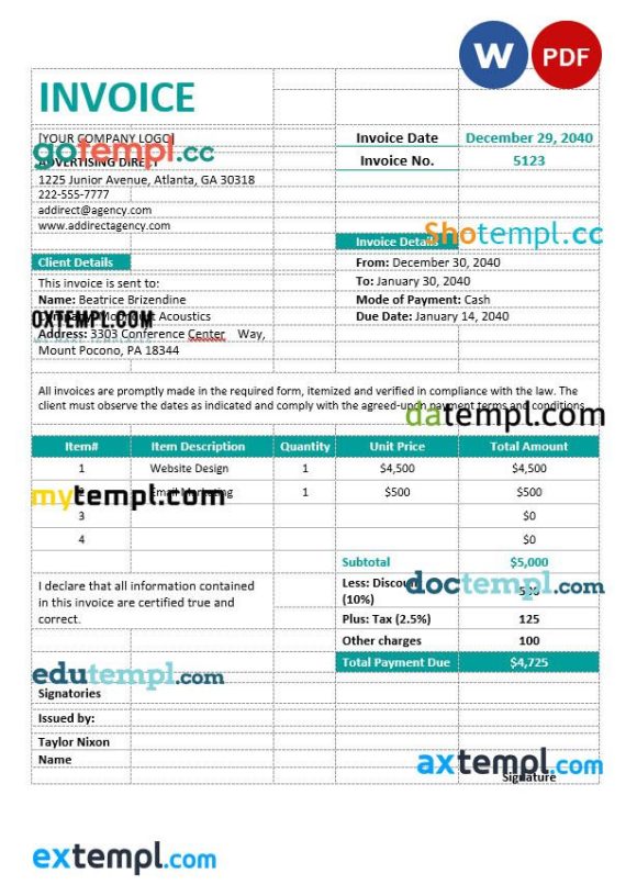 Professional Agency Invoice example in word and pdf format