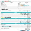 Professional Construction Invoice example in word and pdf format