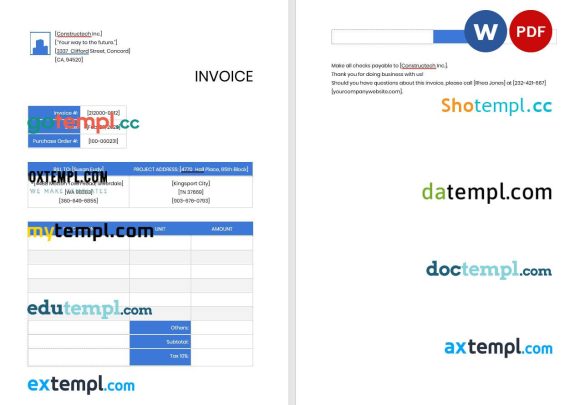 Professional Contractor Invoice example in word and pdf format