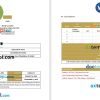 free download Professional Freelance Writer Invoice example in word and pdf format