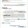 Puerto Rico Secondary Clinic-based Laboratory certificate of employment Word and PDF download template