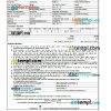 Rajasthan State Road Transport Corporation bus e-ticket, Word and PDF download template