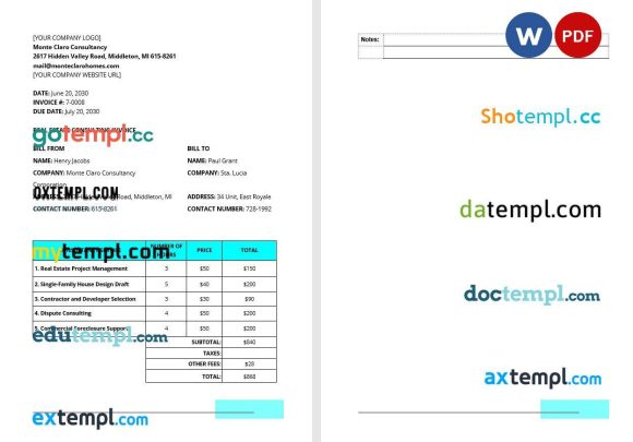 Real Estate Consulting Invoice example in word and pdf format