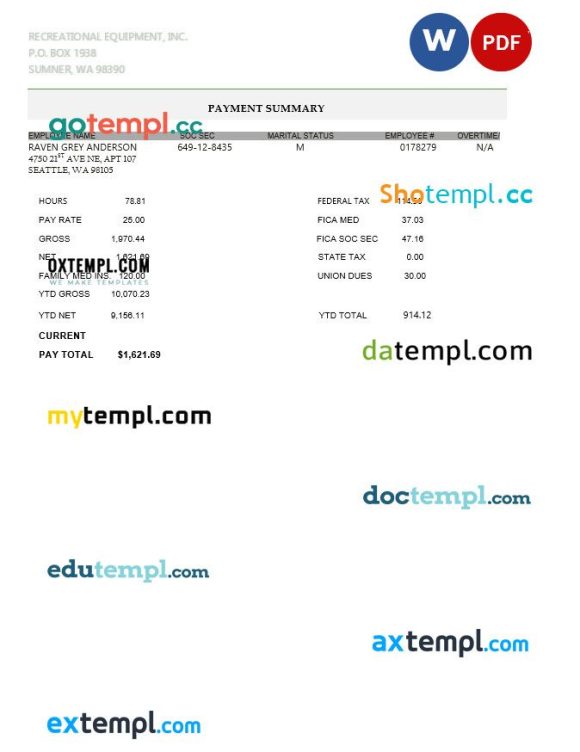 Recreational equipment LLC pay stub example in PDF and WORD format
