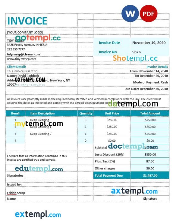 Residential Cleaning Invoice example in word and pdf format