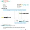 Retail Invoice example in word and pdf format
