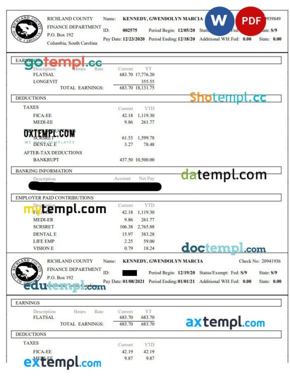 Richland County Finance Department paystub Word and PDF example
