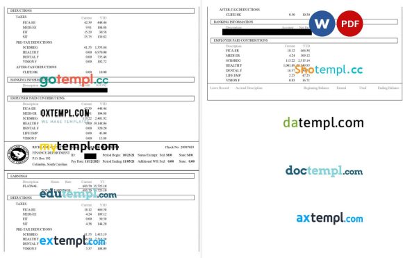 Richland County Paystub Word and PDF example
