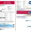 Royal Air Maroc airplane e-ticket, Word and PDF download template, 2 pages