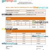 Royal Inn company pay stub example in PDF and Word formats