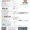 Russian e-visa Word and PDF example