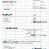 SEO Invoice example in word and pdf format