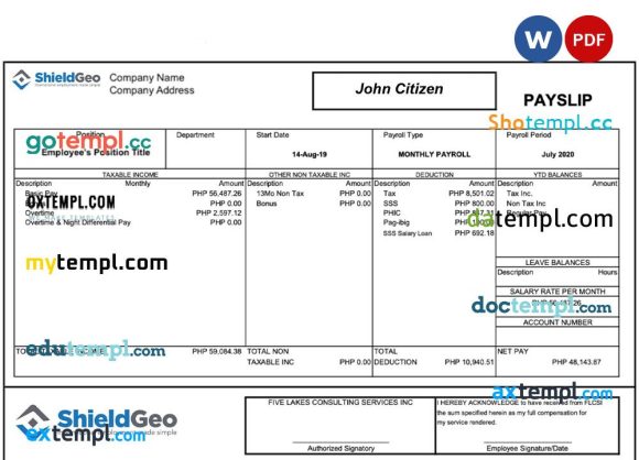 SHIELDGEO payslip pay stub example in Word and PDF formats