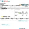 SOUTHWEST AIRLINES CO earnings statement example in PDF and Word formats