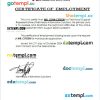 Saint Vincent and the Grenadines Netmedia Information Solutions certificate of employment Word and PDF download template