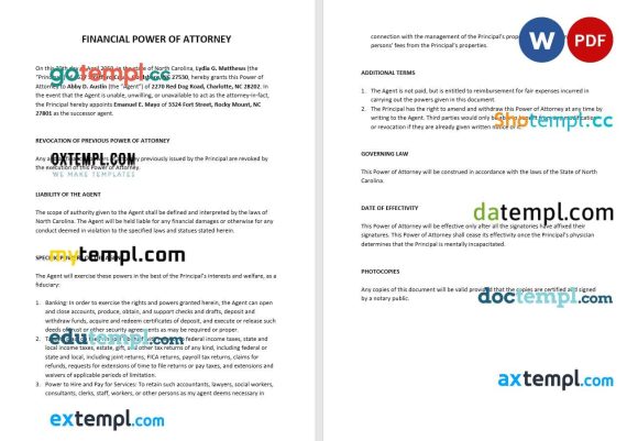Sample Financial Power of Attorney example, fully editable