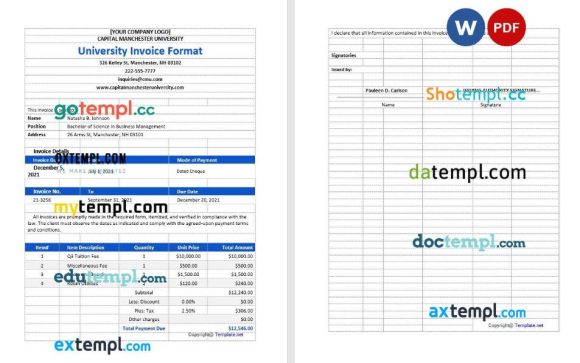Sample University Invoice example in word and pdf format