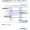 Sao Tome and Principe Ayres de Menezes Hospital certificate of employment Word and PDF download template