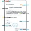 Saudi Arabia Daelim Co., Ltd certificate of employment Word and PDF download template