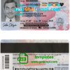 USA Texas state ID card example in PSD format, fully editable (2020 - present)