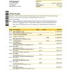 Australian Commonwealth Bank statement example in Excel and PDF format, fully editable