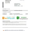 Australian ING Direct bank statement 3 - 6 months easy to fill example in Excel and PDF format