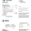Chinese State Grid Corporation of Chinese electricity utility bill download example in Word and PDF format