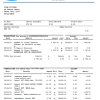 Bangladeshi Janata Bank statement easy to fill example in Word and PDF format