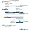 Self employment pay stub Word and PDF example