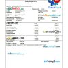 Shapoorji Pallonji employee pay stub example in PDF and Word formats